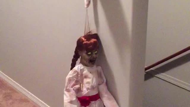 Cat vs. Annabelle Doll