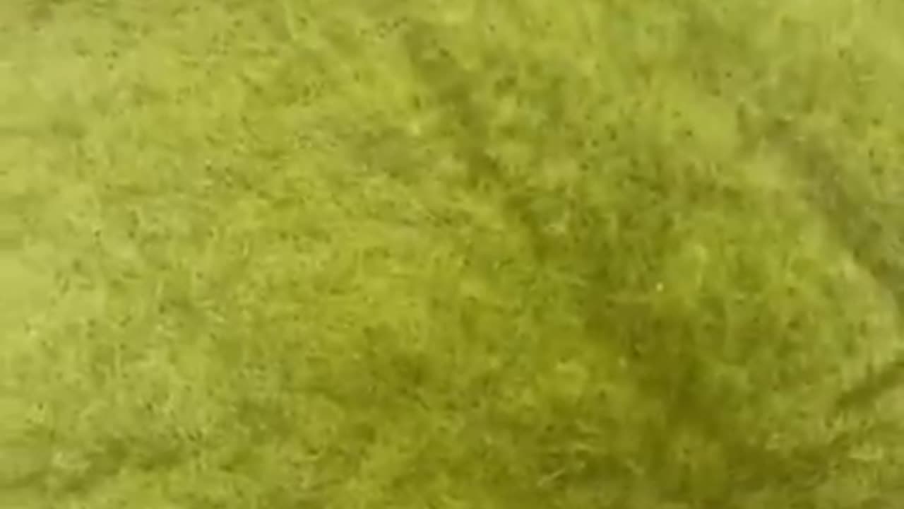 😂😄 comedy video 😂😂