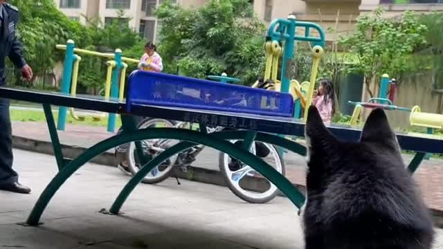 Husky, you have to watch other people play, I showed you why you catch the ball