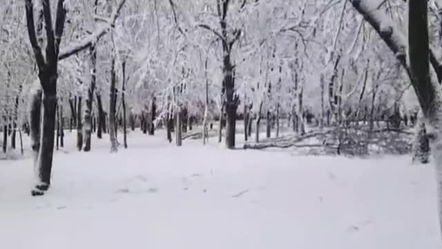 Real snow meaning