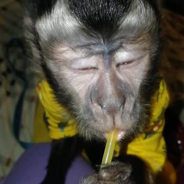 Пьём сок из трубочки