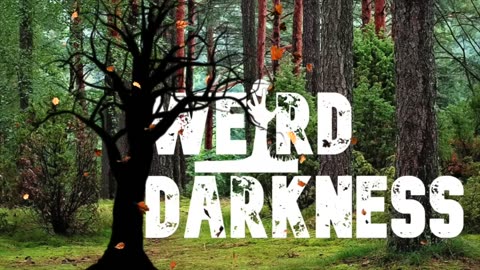 Weird Darkness -The black tree