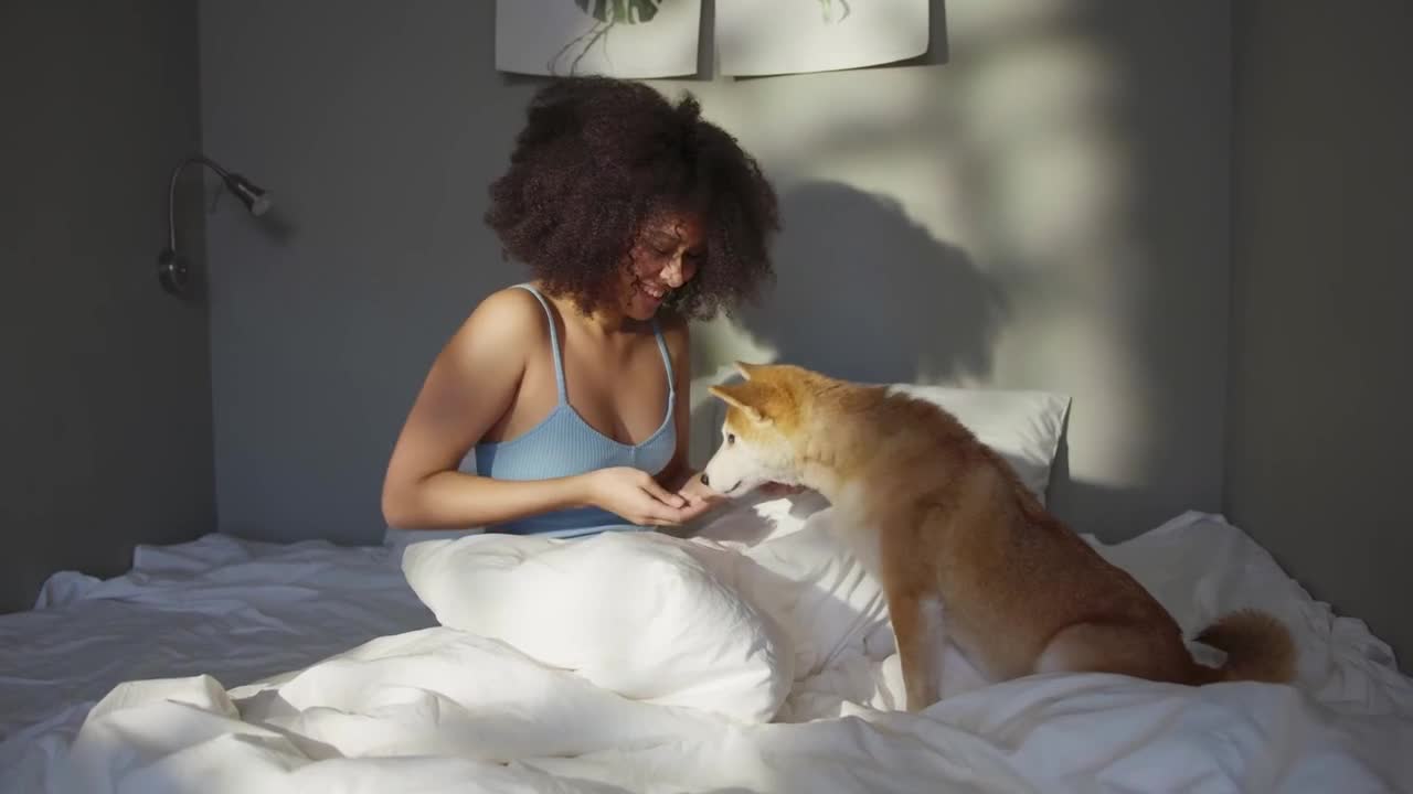 Wow funny dog