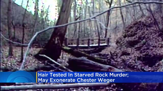 Hair tested in Starved Rock murder; may exonerate Chester Weger