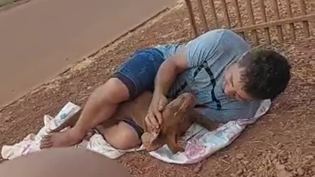 Brincando com a mel