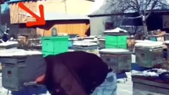 Watch out the milk explosion