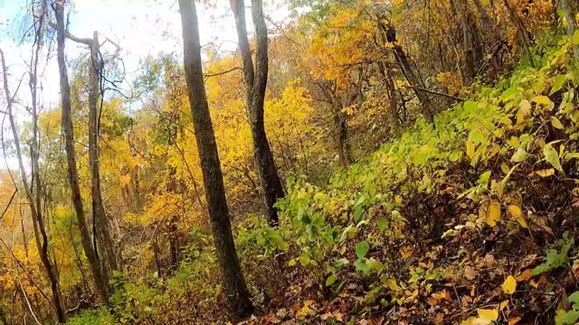 Hiking the Appalachian Trail at the Petites Gap Trailhead on the Blue Ridge Parkway in Virginia