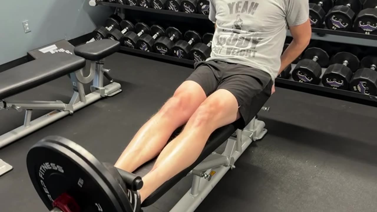 Leg Workout