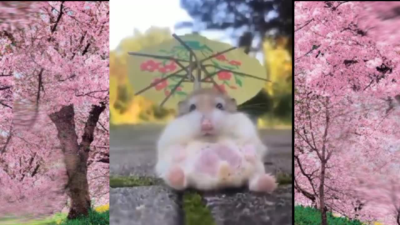 Cute Lil Sakura Bunny