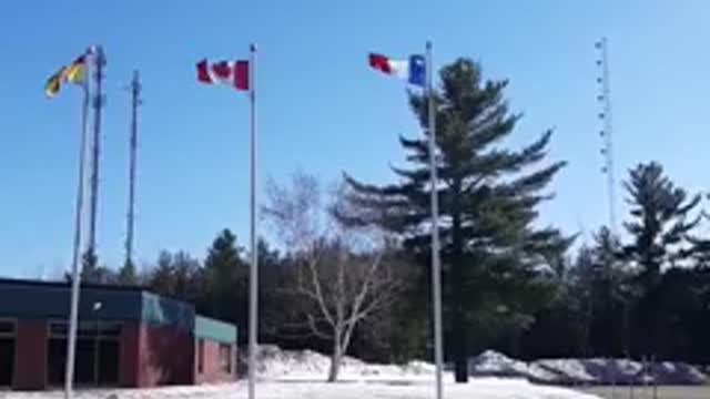 EMF readings of 5G Towers next to a school in Miramichi, NB Canada - March 14th, 2021