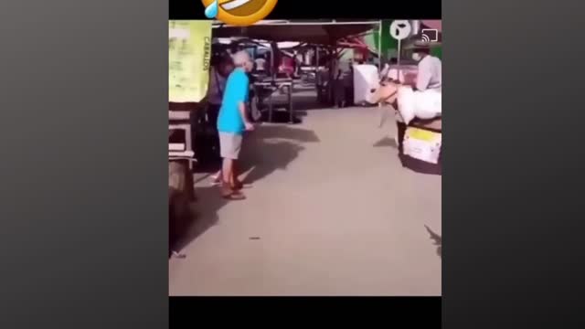 Best Funny Videos