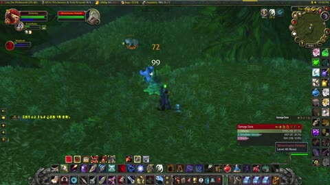 World of Warcraft Classic Hunter and Paladin running around doing some quests