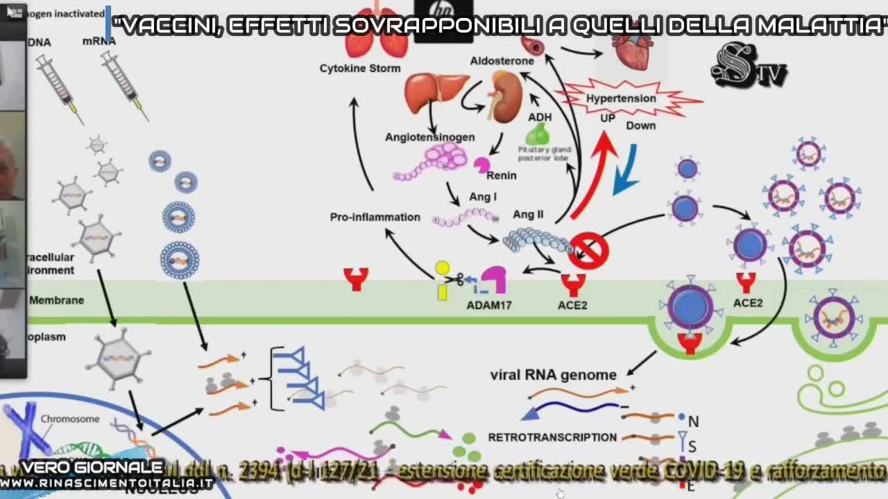 PARALLELISMO TRA EFFETTI DEL VIRUS E DEL VACCINO