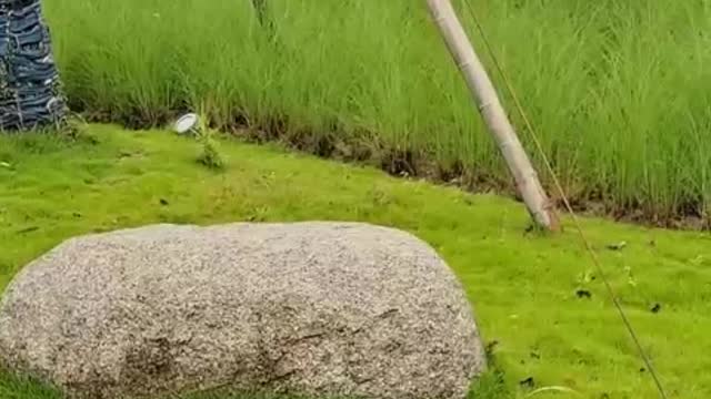 This park is doing really well, I want to sleep here
