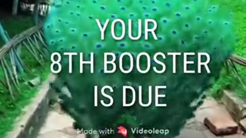 Your booster is due