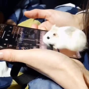 Live fast filter scroll