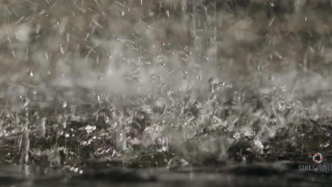 Rain drops (Nature)
