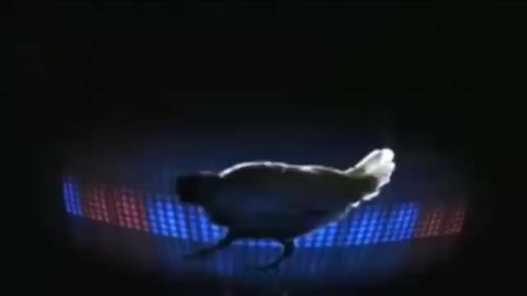 Chicken song