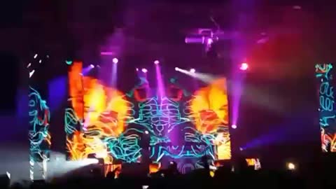 Vini vici concert