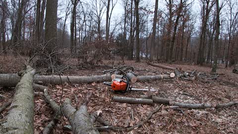 Storm Damage Cleanup 1_27_2021 Part 3