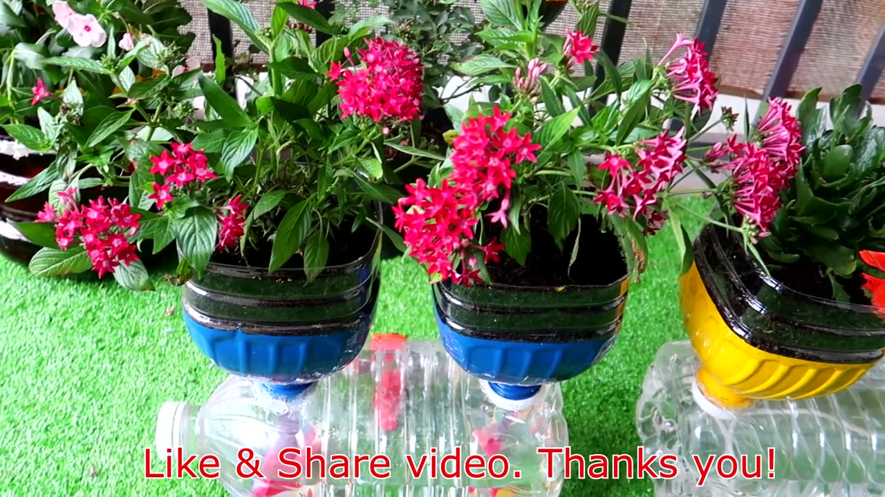 Amazing Flower Pots Recycled From Plastic Bottles | Garden Ideas