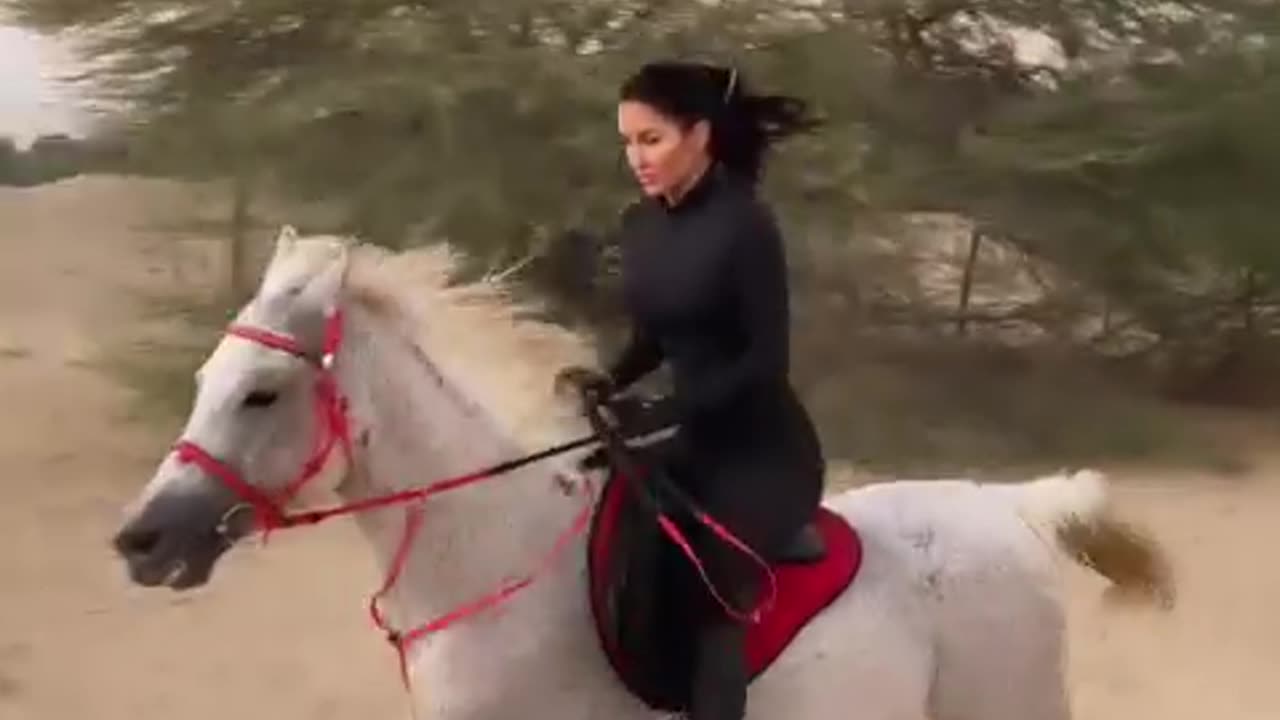 Dubai horse ride