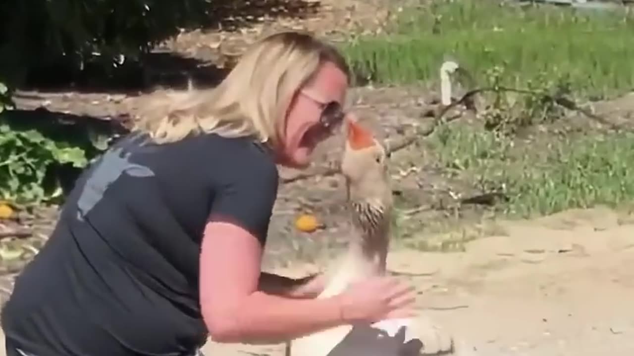 Animal lovers