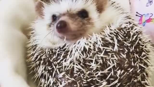 When You Wake Up And Smell Food