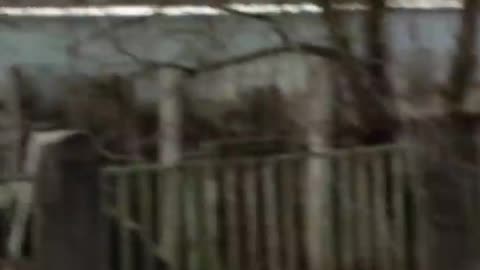 Woman tells story of escaping Ukraine to Hungary