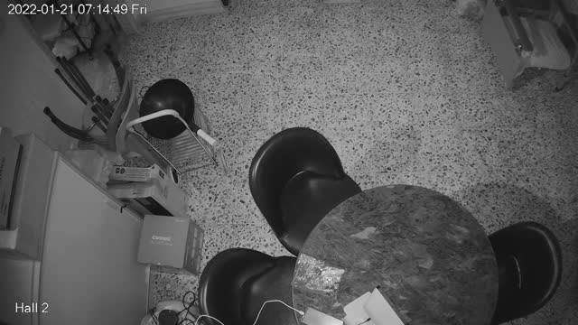 hallmid midnight 20220121