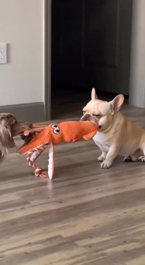 Stalemate 🤣🤣🤣