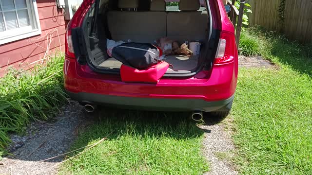 Testing ford edge liftgate obstruction detector.