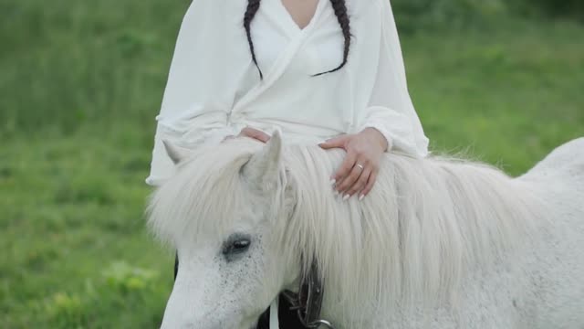 maye 🐎 horse