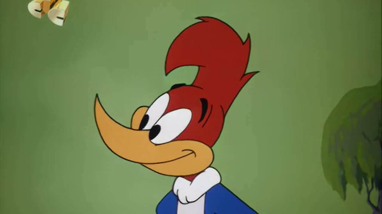 WOODY WOODPECKER - 102 - How to Stuff a Woodpecker