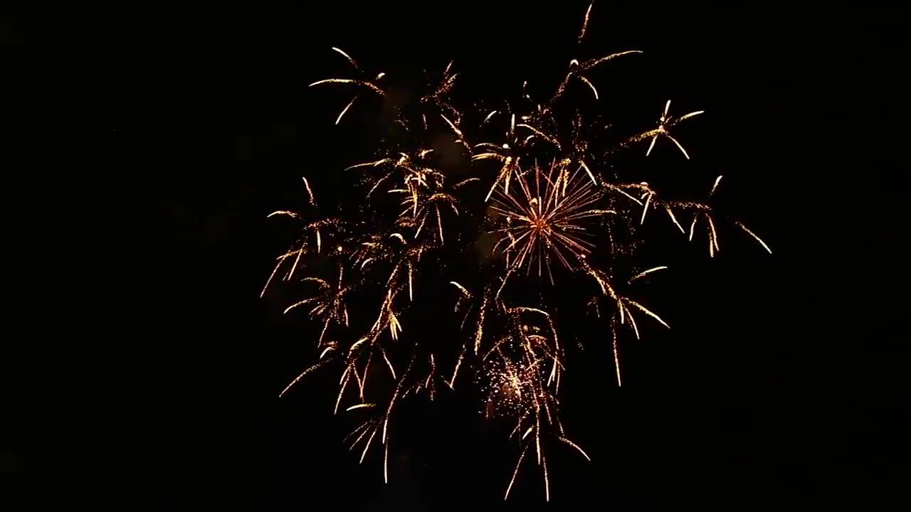 ***We're Wishing You All A very Happy & Prosperous New Year***