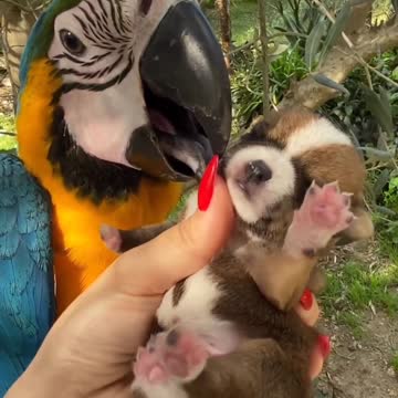 This must be love ..