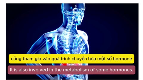protect your liver