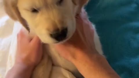Funny and Cute compilation | Cute compilation. #shorts