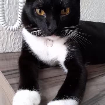 me good and the human disturbing me