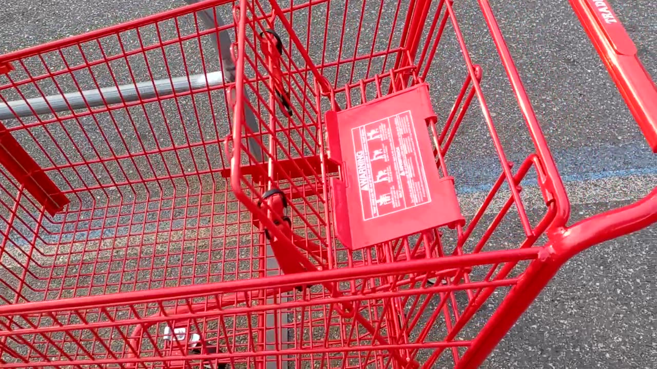 Brand-New Trader Joe's Shopping Cart