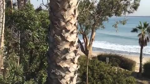 Guy in blue at beach with headset