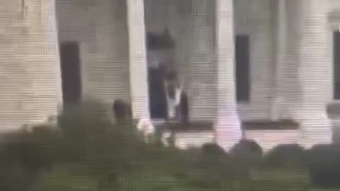 White House body bags? What do you think?
