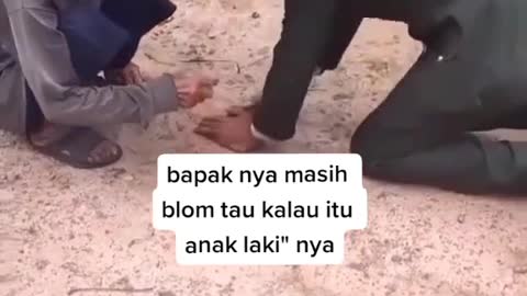 BERPANGAKAT tapi tunduk pd PETANI biasa