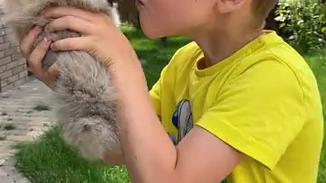 Boy Holding puppy, puppy kissing boy