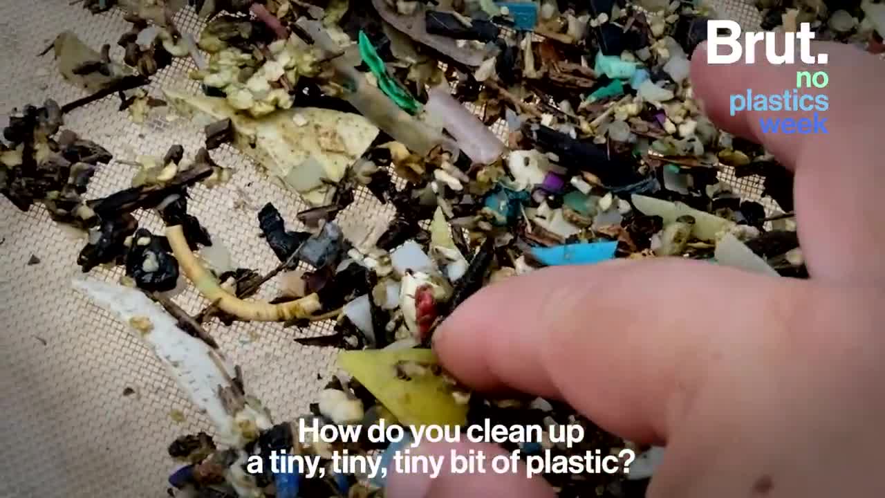 The Hidden Dangers of Plastics Pollution for Marine Animals