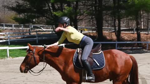 Horse riding learning