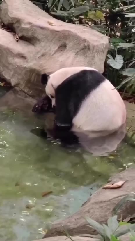 Hump day and I am already beat 😊