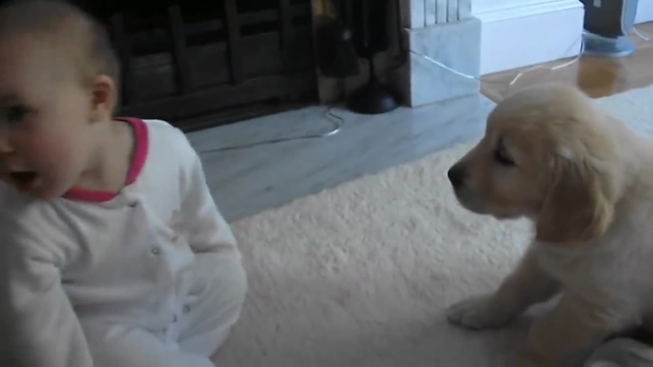 Baby and Puppy meet for the first time