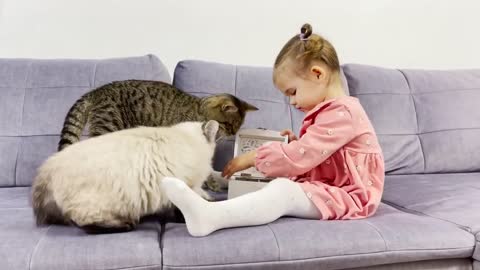 Cute Baby and Two Hungry Cats