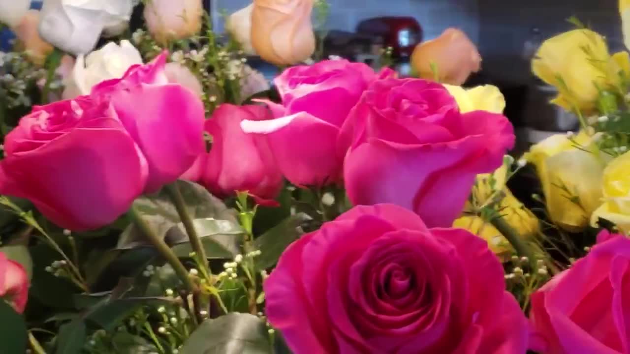 roses to admire and relax